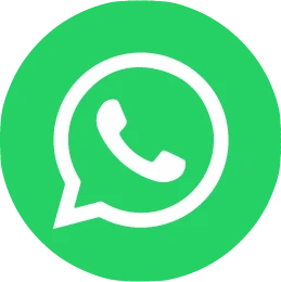 WhatsApp icon